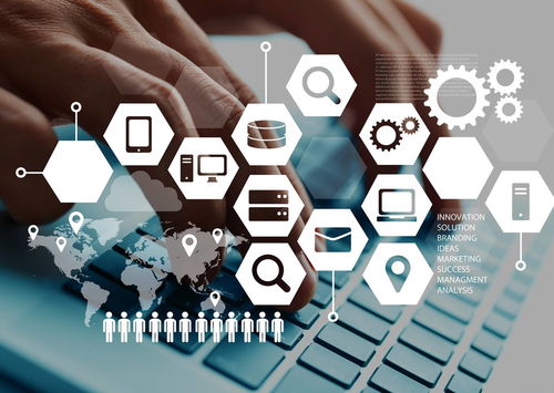 带有CE标志产品出口前需欧盟代理人代理的相关要求